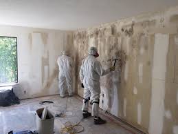 Trusted Guthrie, KY Mold Removal & Remediation Experts